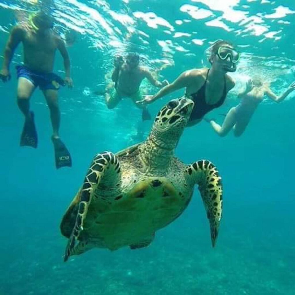 Snorkeling Blue Lagoon (2)