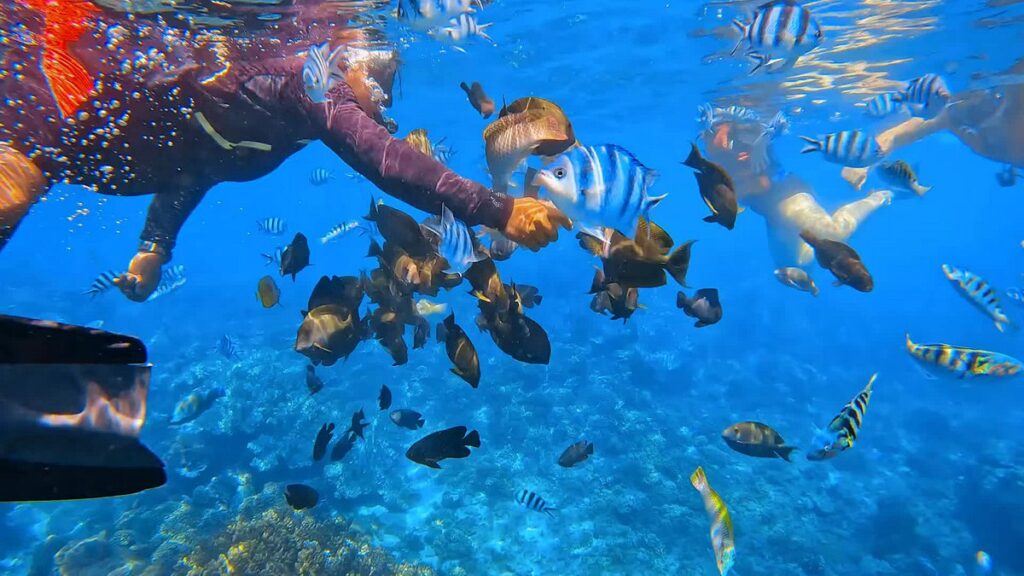 Snorkeling Blue Lagoon Padang Bai