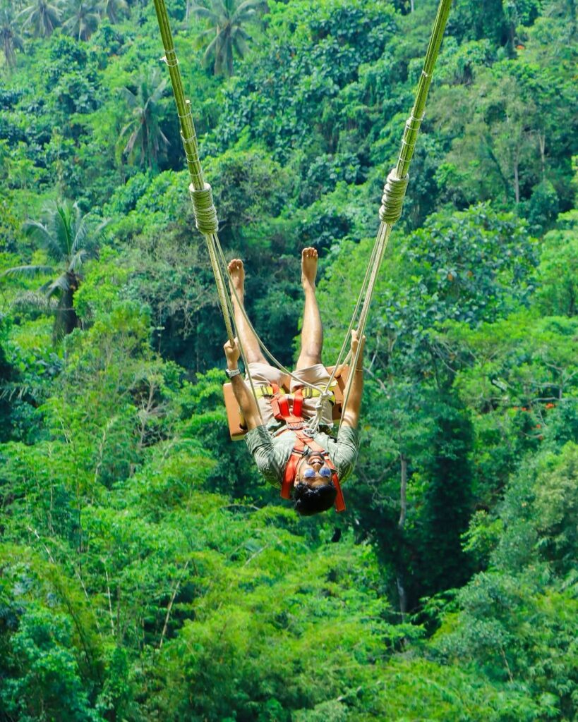 Ubud Swing